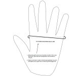 Guantes de malla - Imagen 3